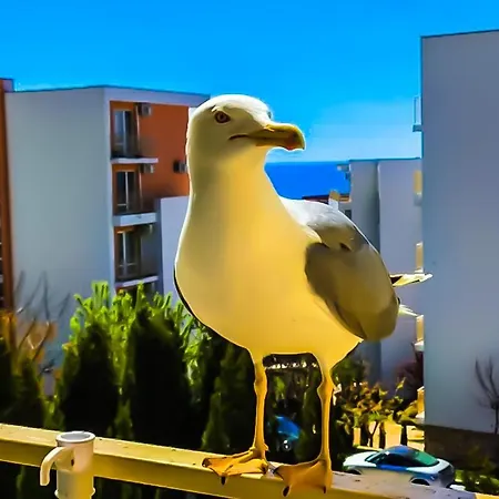 דירה William's - Sixth Large סבטי ולאס