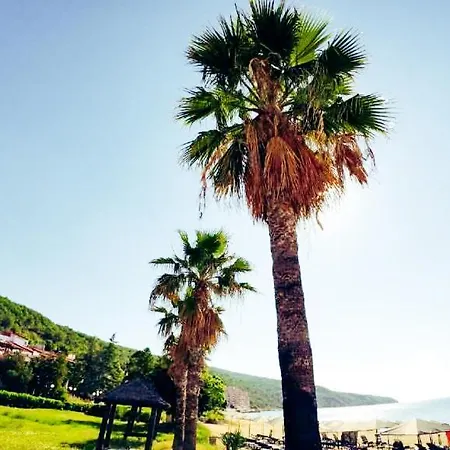 William's - Sixth Large *