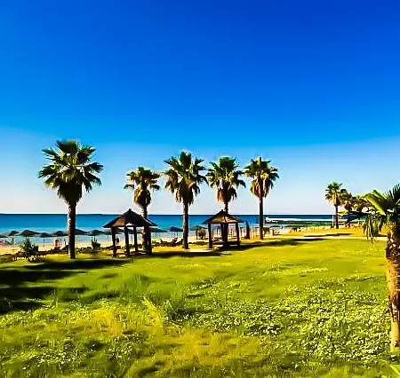 William's - Sixth Large *