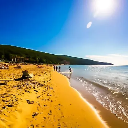 William's - Sixth Large *