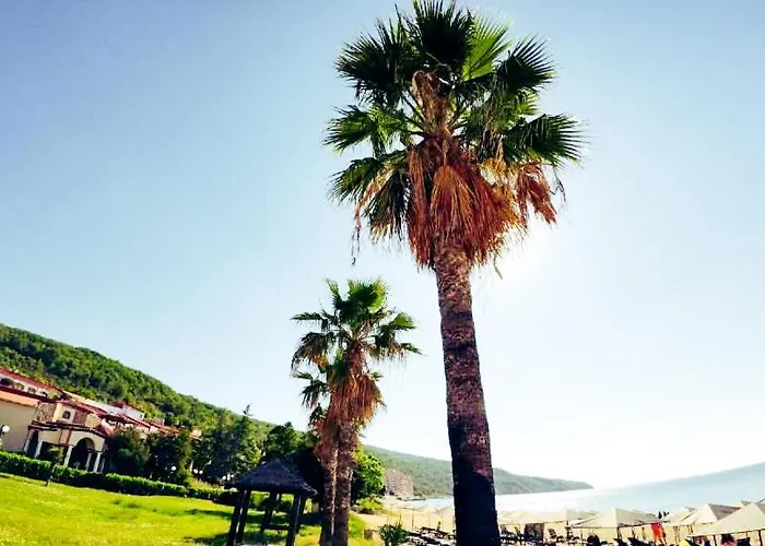 William's - Sixth Large *