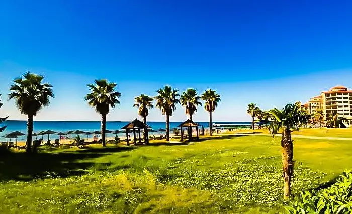 William's - Sixth Large *