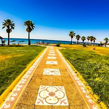 William's - Sixth Large Święty Włas