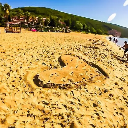 William's - Sixth Large Apartament