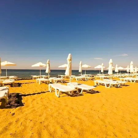 William's - Sixth Large * Święty Włas