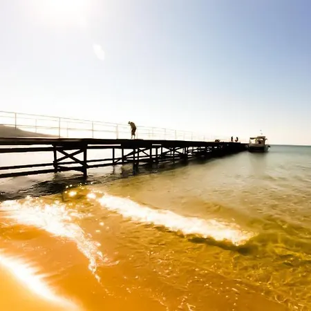 Apartament William's - Sixth Large