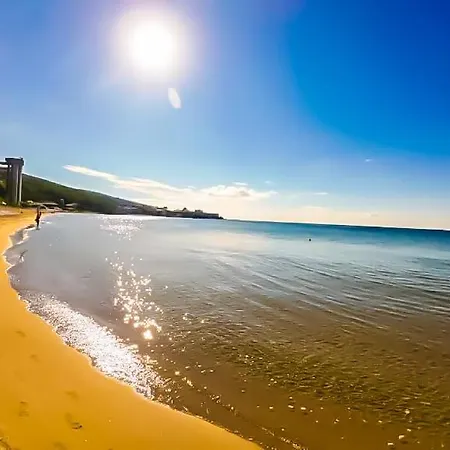 William's - Sixth Large *