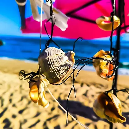 William's - Sixth Large Święty Włas