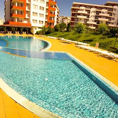 William's - Sixth Large * Święty Włas