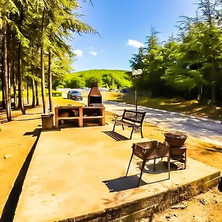 William's - Sixth Large Święty Włas