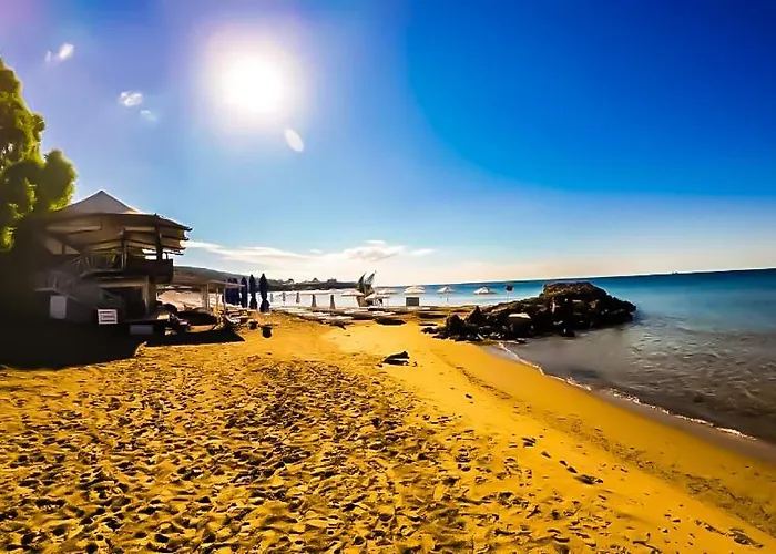 William's - Sixth Large