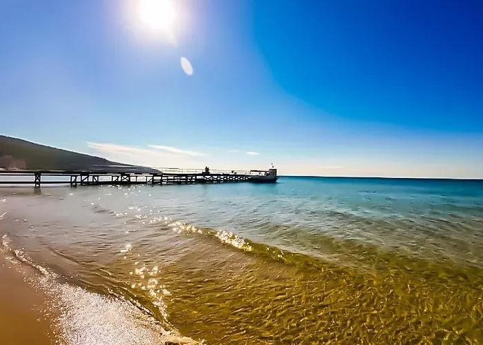 William's - Sixth Large