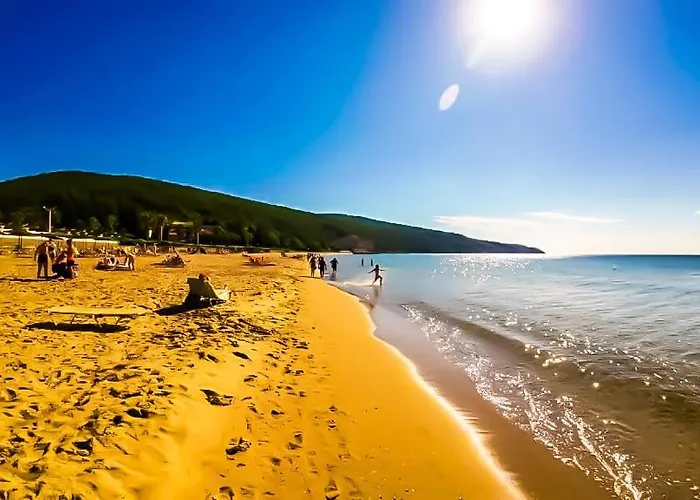 William's - Sixth Large *